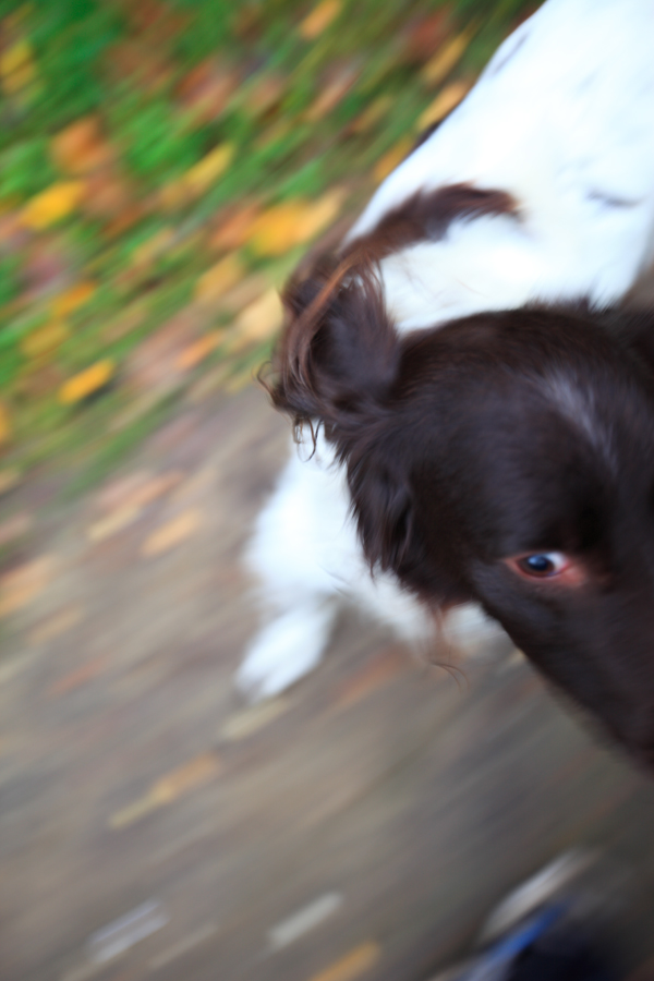 Zurck zum "Tableau der Verweigerung"